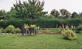 Pension Lorenz
